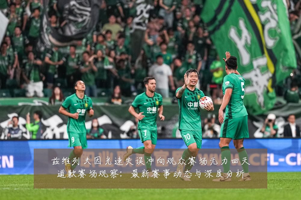 兹维列夫因光速失误冲向观众赛场无力回天道歉赛场观察：最新赛事动态与深度分析